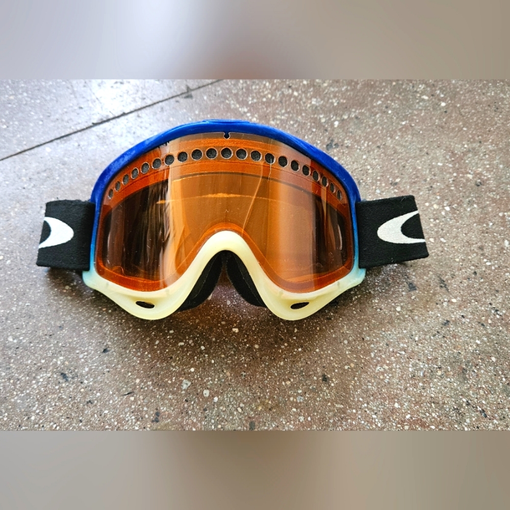 Ski Goggles - image 1